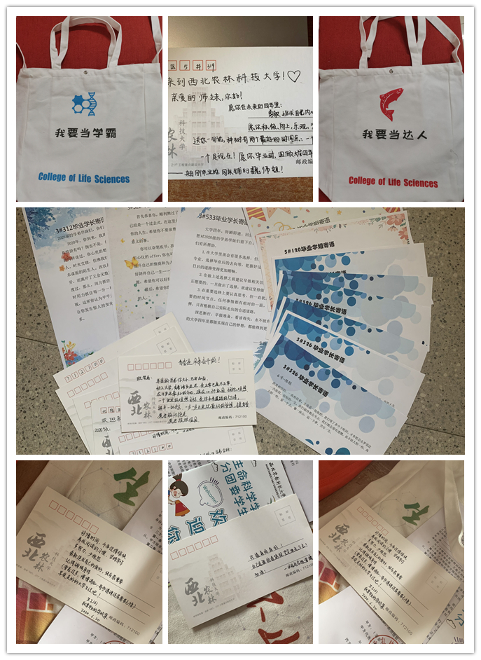 0e341c1dcc114ab2b6cde24e6d5c6ea5.jpg 0e341c1dcc114ab2b6cde24e6d5c6ea5.jpg