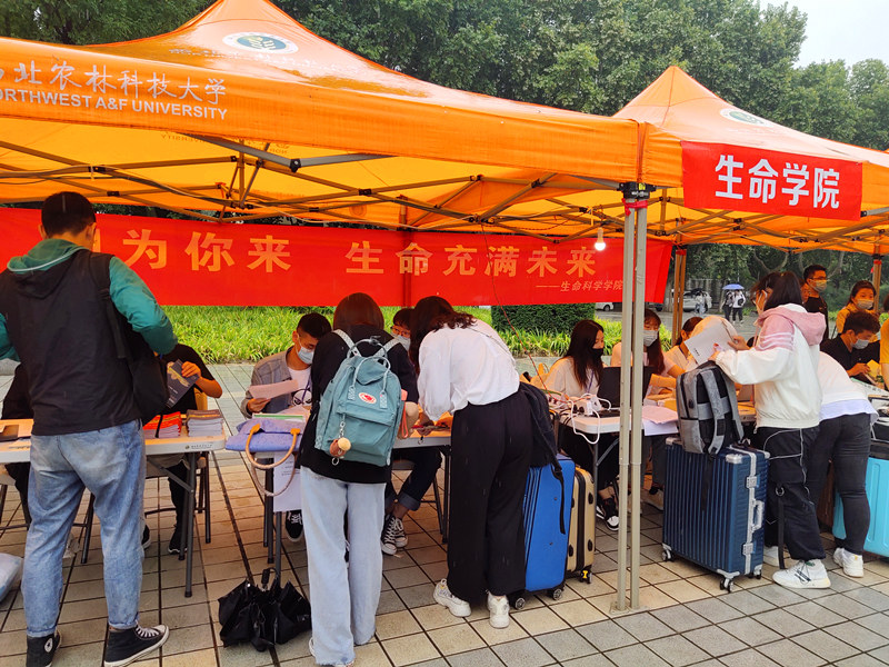 53bc86087db5437b848111187183b282.jpg 新生报到现场.jpg